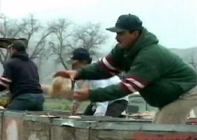 RECOLECCION (4)  CAMPESINOS